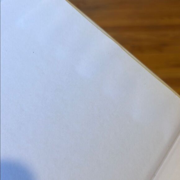 Egypt Lost and Found Book - Picture 5 of 6